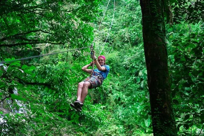Canopy